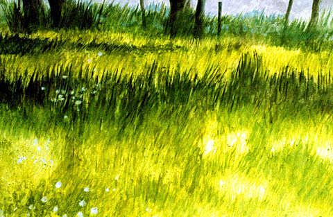 MEADOWS ON THE BANKS