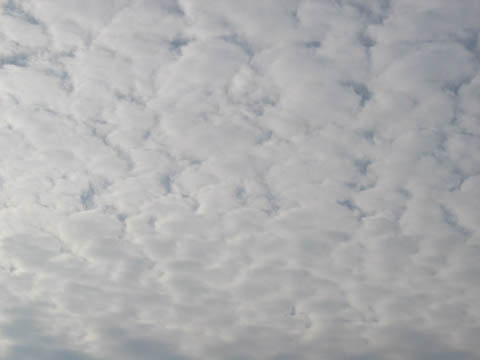 COTTON PADS IN THE SKY